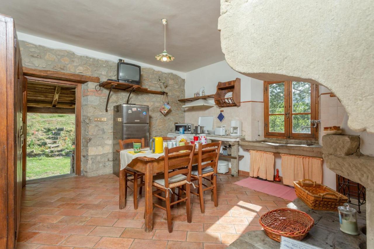 Villa Bellavista Arezzo Exterior photo